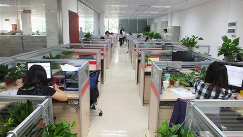 广东2025年成人高考时间：关键信息及备考建议